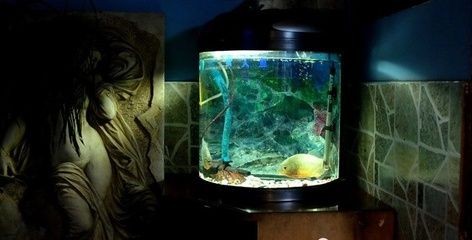 深海恐懼的心理解析深海恐懼癥是一種特定的焦慮障礙：水族館背后的故事