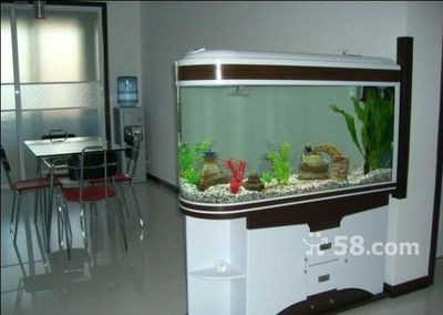 海陽哪里賣魚缸（海陽市寵物文化海陽市魚缸銷售點(diǎn)信息：養(yǎng)魚技巧與常見誤區(qū)）
