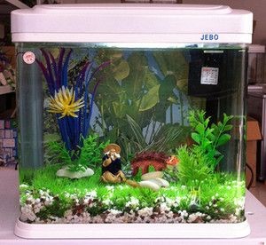 佳寶魚缸型號及價格大全：佳寶魚缸型號及價格