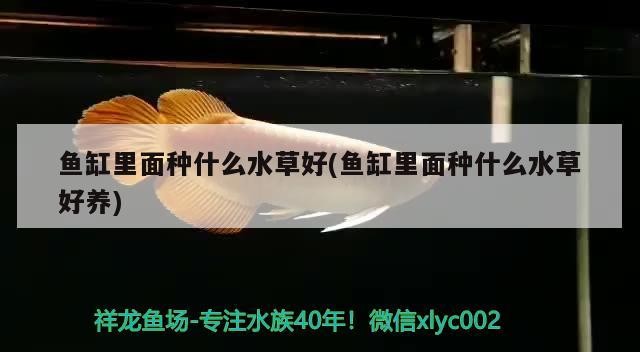 萍鄉市歐陽水族館 萍鄉市歐陽水族館 全國水族館企業名錄 第2張