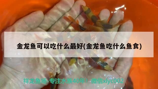 保德縣美景花鳥魚市店
