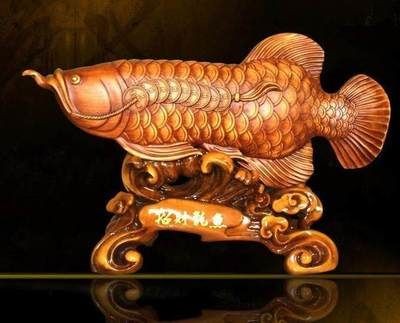 喂龍魚的活飼料魚怎么處理好吃