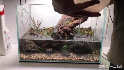 沂源縣歷山街道辦事處吉祥錦鯉水族館（濟南吉祥錦鯉）
