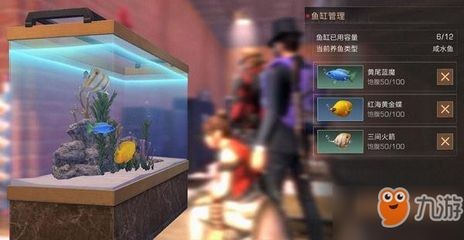 紅海魚缸中養淡水魚需要考慮哪些問題：紅海魚缸與淡水魚的區別