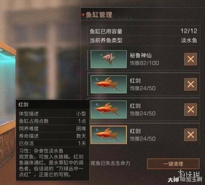 紅海魚缸中養淡水魚需要考慮哪些問題：紅海魚缸與淡水魚的區別