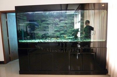 黑色背景魚(yú)缸養(yǎng)護(hù)技巧：適合在黑色背景魚(yú)缸中養(yǎng)的花時(shí)需要注意以下幾點(diǎn)