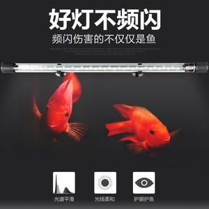金龍魚魚缸用什么燈好：如何選擇金龍魚魚缸燈具