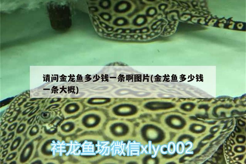 晉城經濟開發區琪琪花藝店（晉城經濟開發區琪琪花藝店電話）