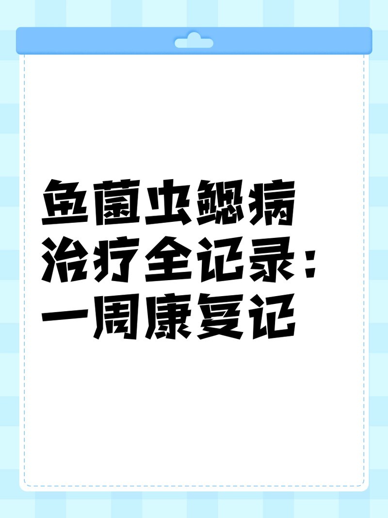 紅龍魚鰓病會自愈嗎？