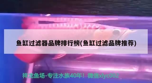 品牌魚缸過濾器排名第一名：森森sunsun魚缸過濾器排名第一名品牌