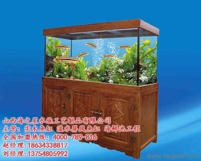 生態(tài)魚缸的維護秘籍：山西海之星水族工藝制品有限公司