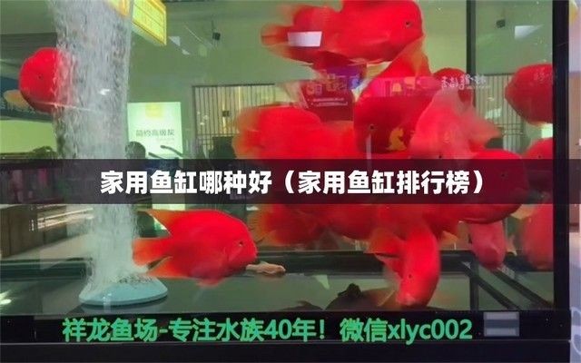 十大公認(rèn)最好用的魚(yú)缸是哪一種魚(yú)，十大公認(rèn)最好用的十大魚(yú)缸品牌