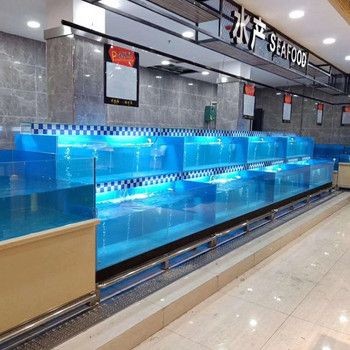 海寧魚缸如何選擇：亞克力魚缸養(yǎng)護(hù)秘籍亞克力魚缸養(yǎng)護(hù)秘籍亞克力魚缸