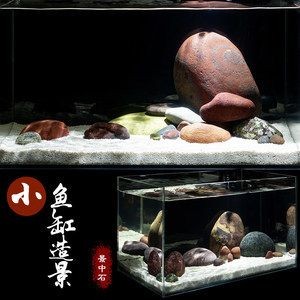 魚缸里的彩石有什么作用：彩石在魚缸中的作用
