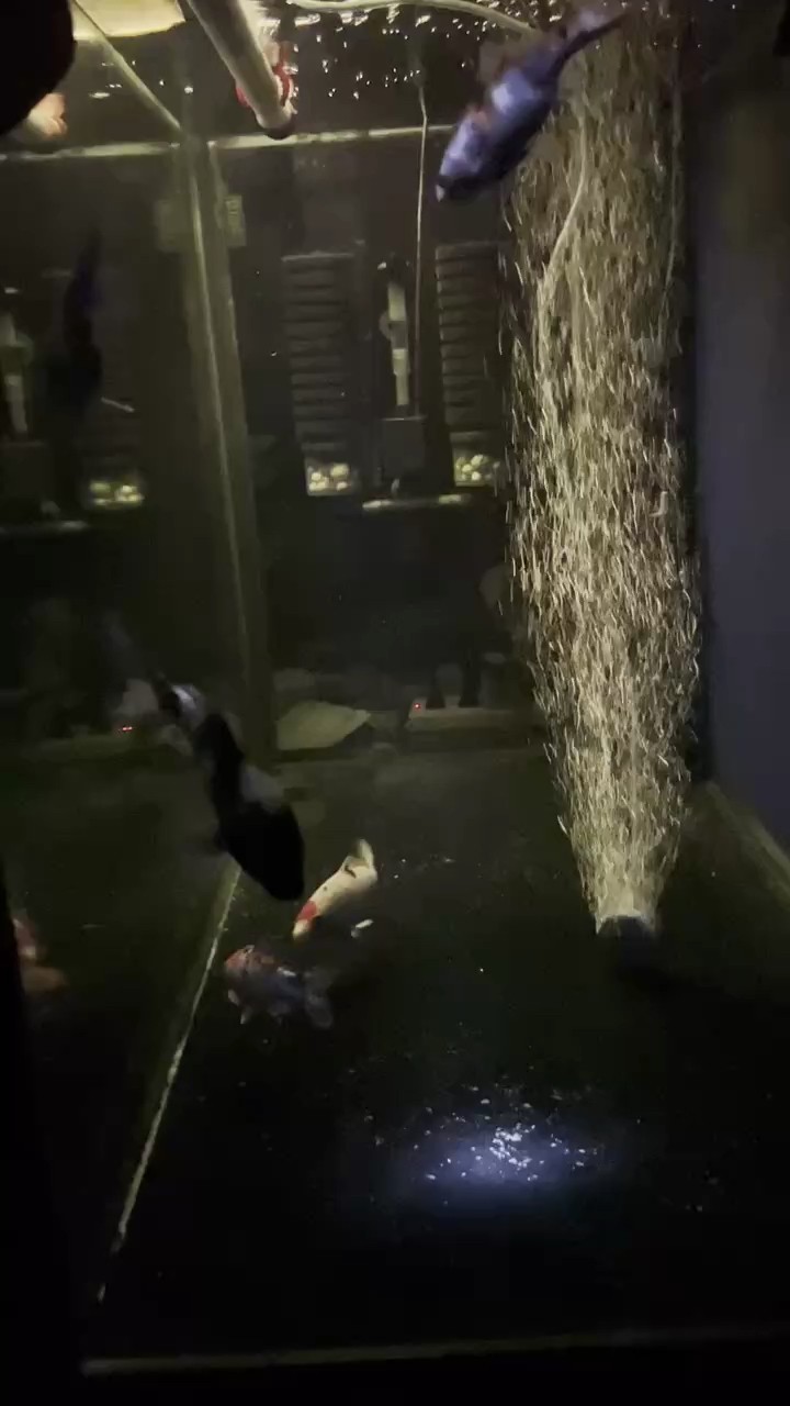 土炮續