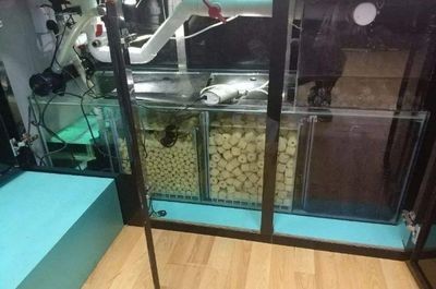 店鋪魚缸怎么擺（店鋪魚缸擺放風水學）