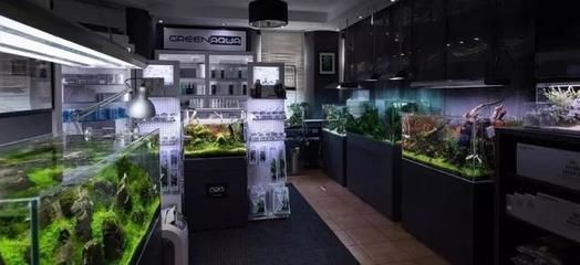 店鋪魚缸怎么擺（店鋪魚缸擺放風水學）