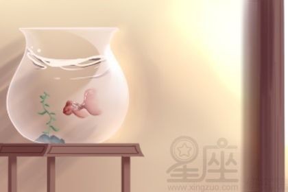 魚缸與爐灶沖突的化解方法：魚缸與爐灶的沖突是家居風(fēng)水中常見的問題