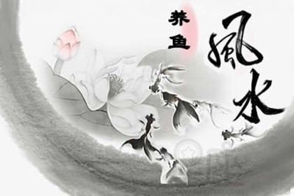 魚缸與爐灶沖突的化解方法：魚缸與爐灶的沖突是家居風(fēng)水中常見的問題