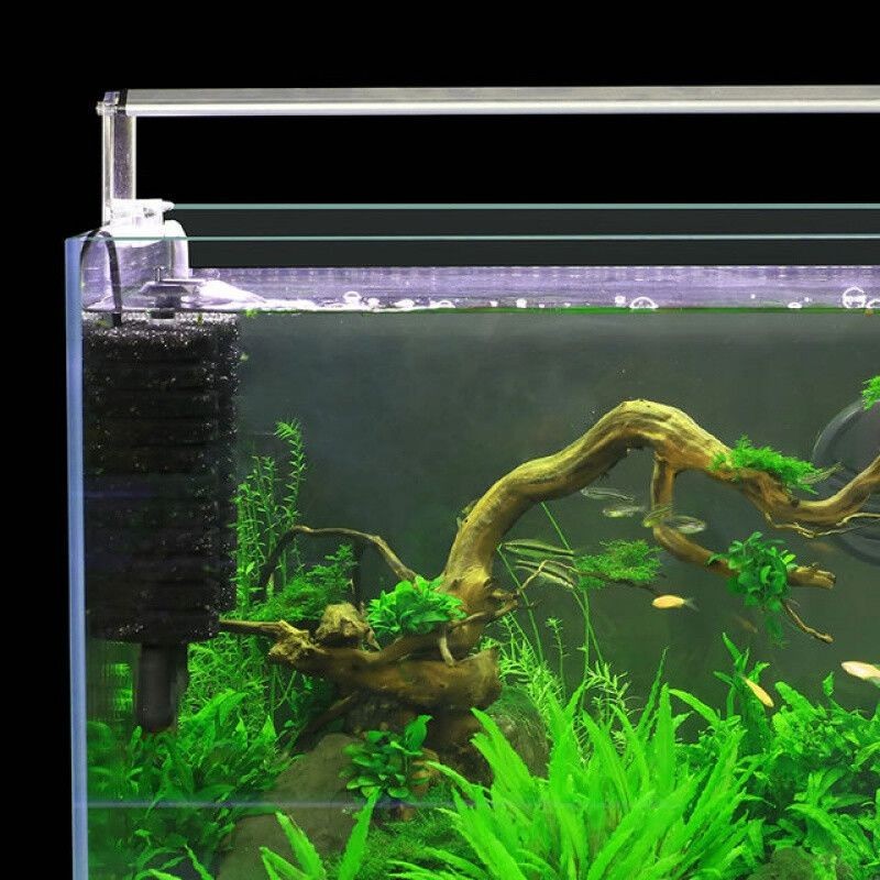 魚缸過濾器的選擇：京業jingye水族寵物用品牌ofoceanfree過濾器 魚缸過濾器的選擇：京業jingye水族寵物用品牌ofoceanfree過濾器 魚缸百科 第2張