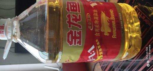 紅龍魚的正確飼養方法圖解大全視頻下載安裝手機版（紅龍魚的飼養方法講解視頻） 紅龍魚的正確飼養方法圖解大全視頻下載安裝手機版（紅龍魚的飼養方法講解視頻） 龍魚百科