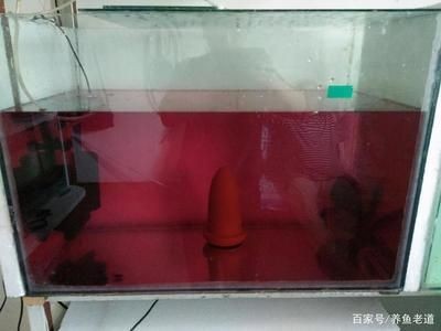 新買回來的魚缸消毒處理方法：剛買回來的魚缸消毒誤區解析魚缸消毒誤區解析新魚缸消毒誤區
