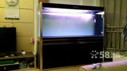 萬州定做魚缸（萬州定做魚缸,萬州地區提供多種定做魚缸服務，滿足不同客戶需求）
