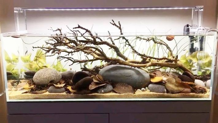 汕頭市鎂植坊商貿有限公司（汕頭市鎂植坊商貿有限公司招聘）