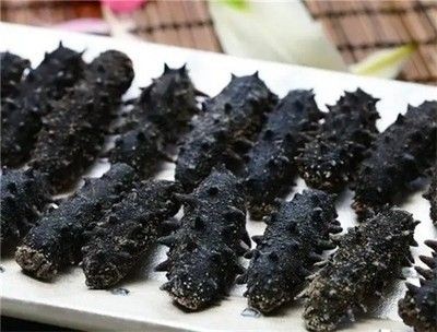魚缸回收的環保意義魚缸回收的環保意義：廣州魚缸回收