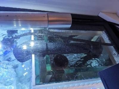 底濾魚缸消音螺旋拆卸詳細步驟：底濾魚缸消音螺旋拆卸