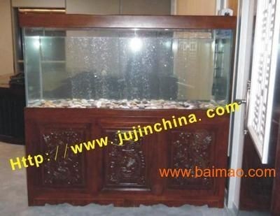 廣州魚缸廠家（廣州魚缸廠家廠家地址）