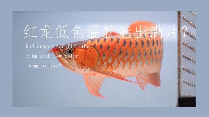 <strong><mark>五原</mark></strong>縣芳草伊人植物館（<strong><mark>五原</mark></strong>縣芳草伊人植物館電話）
