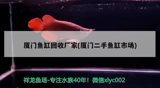 廈門魚缸回收廠家(廈門二手魚缸市場)