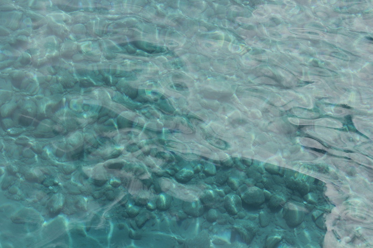 余江區清海魚缸造景店