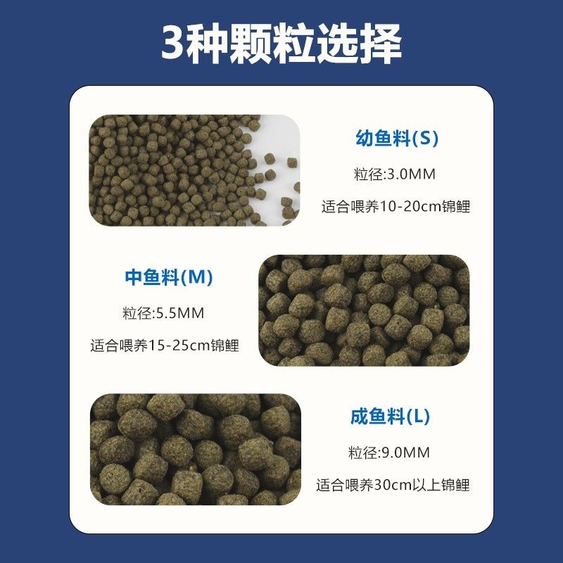 銀版魚幼魚飼料喂養技巧：銀龍魚幼魚飼料營養搭配指南
