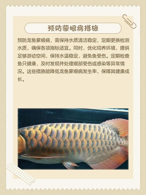 龍魚(yú)蒙眼能治好嗎圖片大全