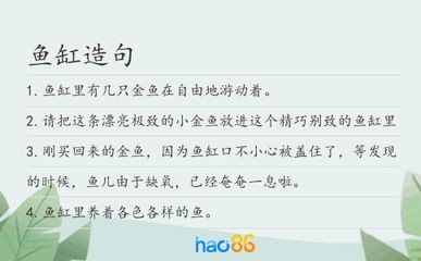 什么樣的魚(yú)缸便宜好用：如何選擇一個(gè)便宜又好用的魚(yú)缸