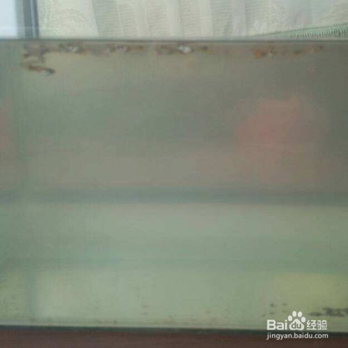 大佬們看看我這條怎么樣？