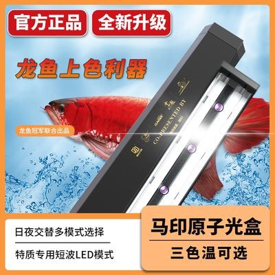 龍魚燈6700k和13000k區別：龍魚燈6700k和13000k的區別