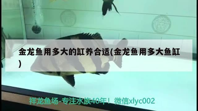 貴陽恒大鑫奧旅游開發(fā)有限公司（貴陽恒大鑫奧旅游開發(fā)有限公司招聘）