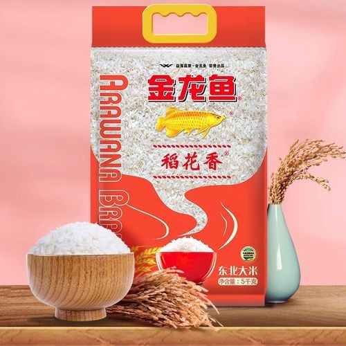 金龍魚稻花香米多少錢一斤 龍魚百科 第5張 金龍魚稻花香米多少錢一斤 金龍魚稻花香米多少錢一斤 龍魚百科 第5張