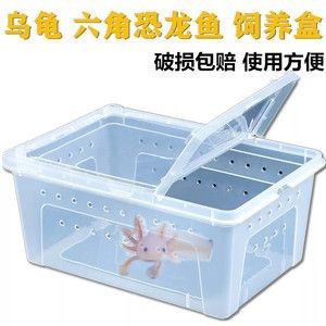 diy魚缸過濾系統(tǒng)的構建與維護魚缸生態(tài)系統(tǒng)的選擇：diy魚缸過濾器的發(fā)展歷程