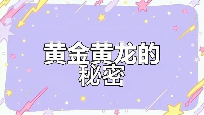 黃龍魚圖片大全圖片高清圖 黃龍魚圖片大全圖片高清圖 龍魚百科 第28張