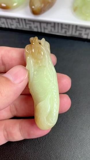 黃龍魚圖片大全圖片高清圖 黃龍魚圖片大全圖片高清圖 龍魚百科 第22張