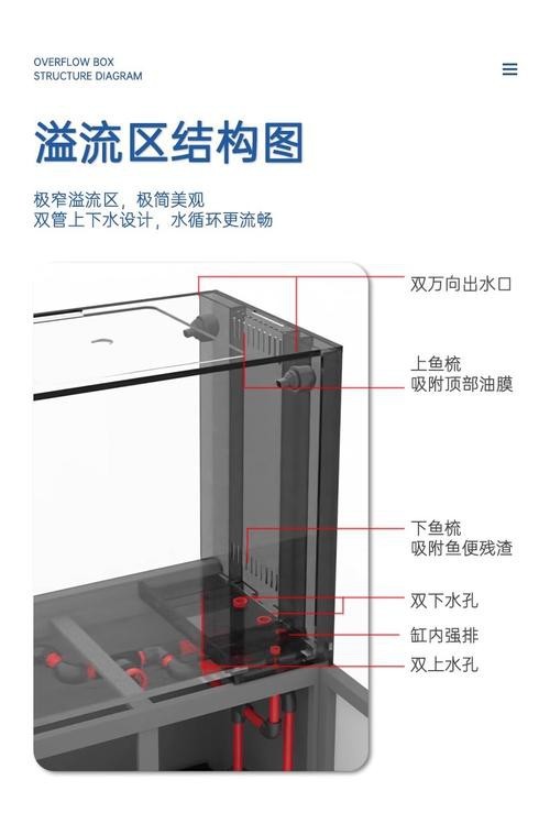 養龍魚用什么過濾器