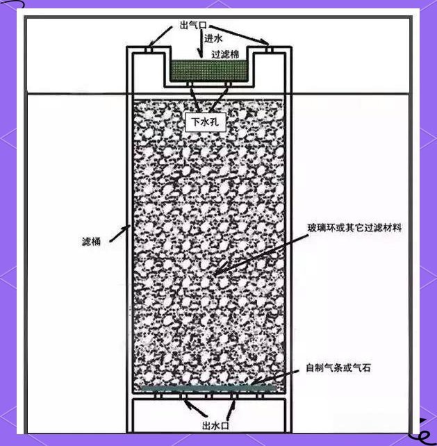 養龍魚用什么過濾器