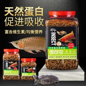 龍魚吃魚飼料嗎會(huì)死嗎（龍魚可以吃魚飼料嗎）