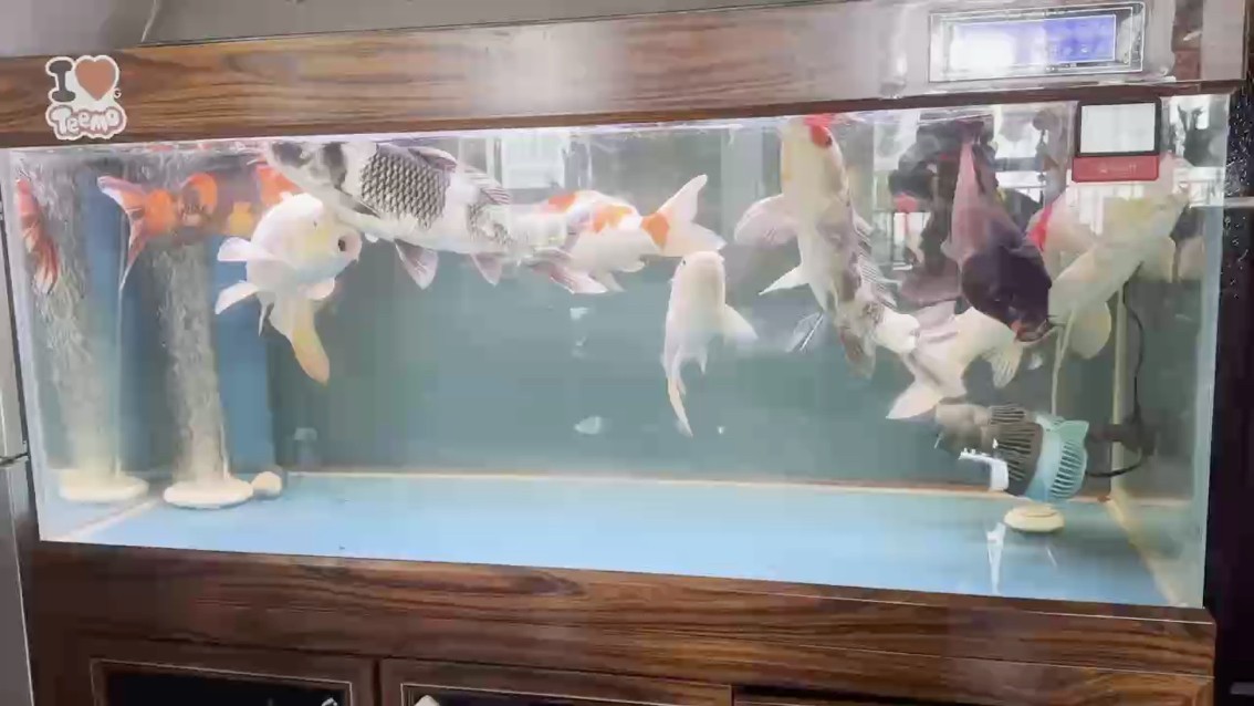 興趣點在哪里