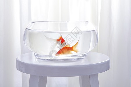 博揚水族科技（上海）有限公司（博揚官網）