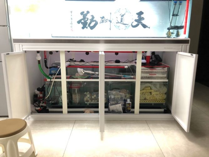 特魚氏魚缸評測：特魚氏魚缸售后政策詳解特魚氏魚缸與其他品牌對比
